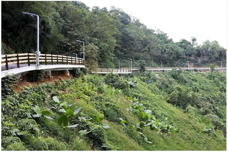 工業(yè)級(jí)交換機(jī)在智慧路燈中的應(yīng)用現(xiàn)場(chǎng).png 工業(yè)級(jí)交換機(jī)在智慧路燈中的應(yīng)用現(xiàn)場(chǎng).png